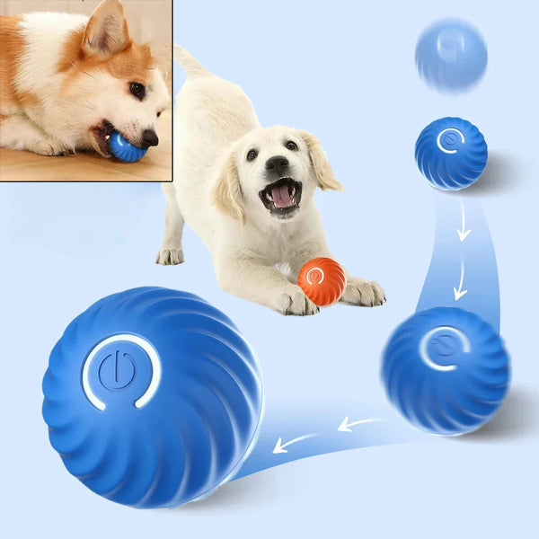 Product placeholder