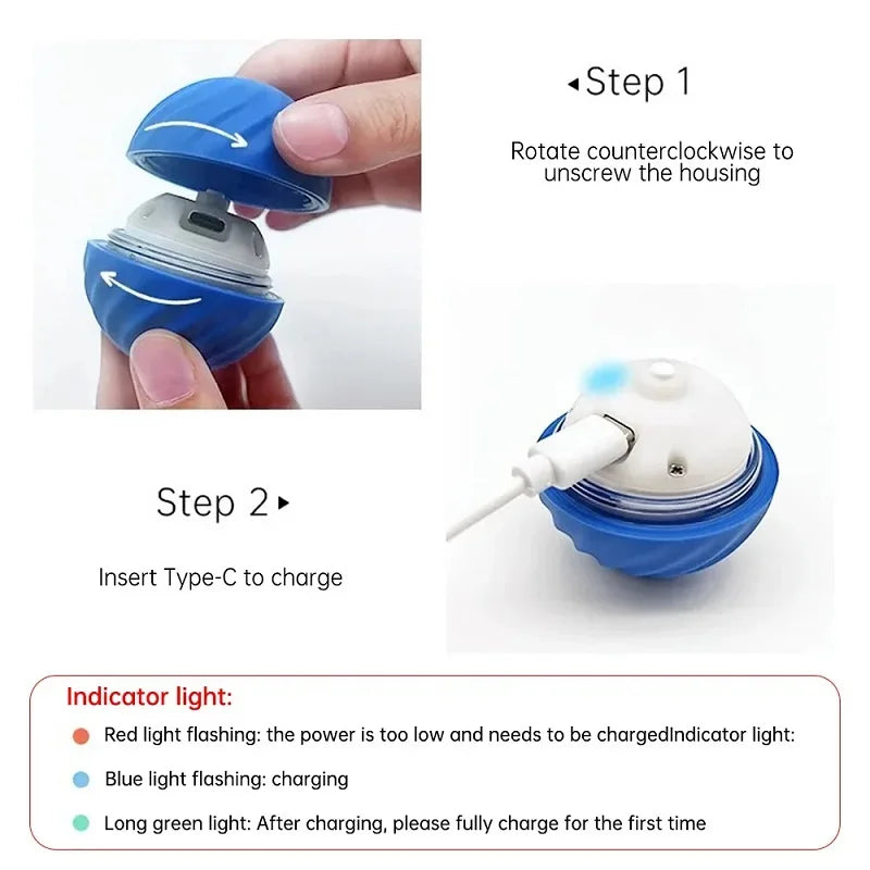 Smart Puppy Play Ball