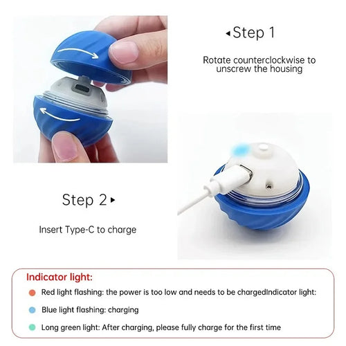 Smart Puppy Play Ball