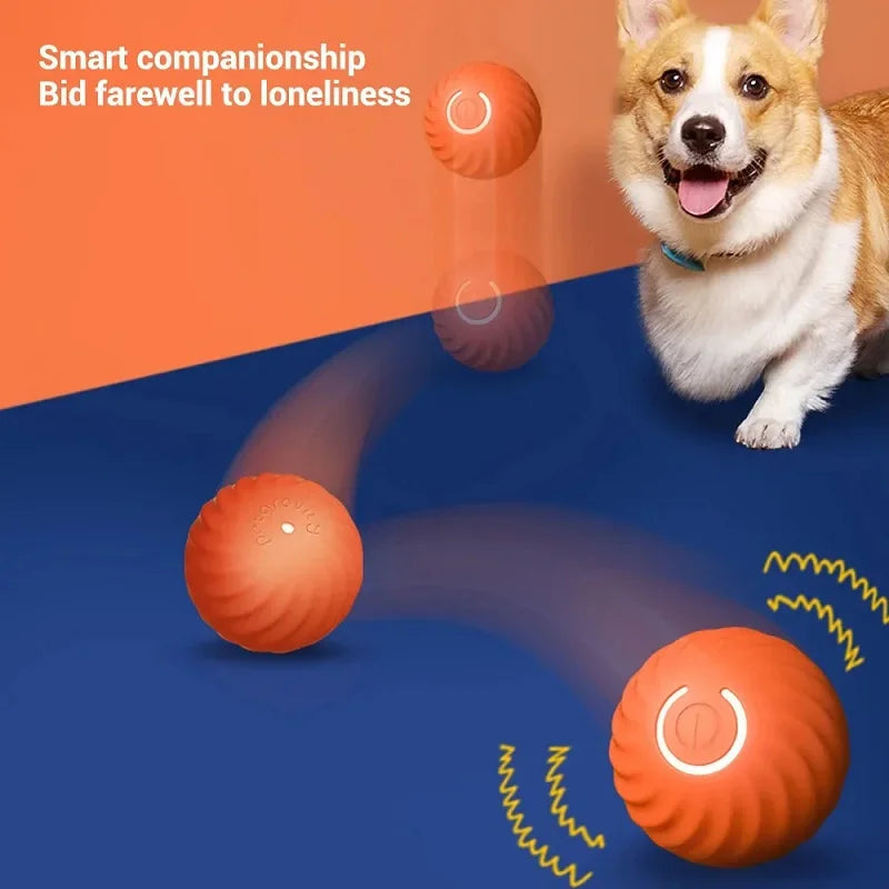 Smart Puppy Play Ball
